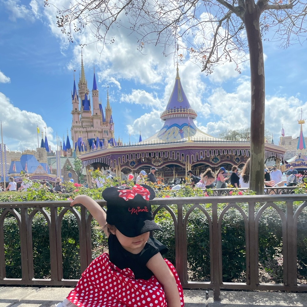 Disney Minnie Hat and dress